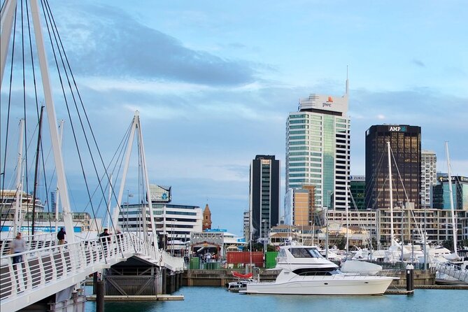 2-Hour City Tour in Auckland - Eco-Friendly Transportation