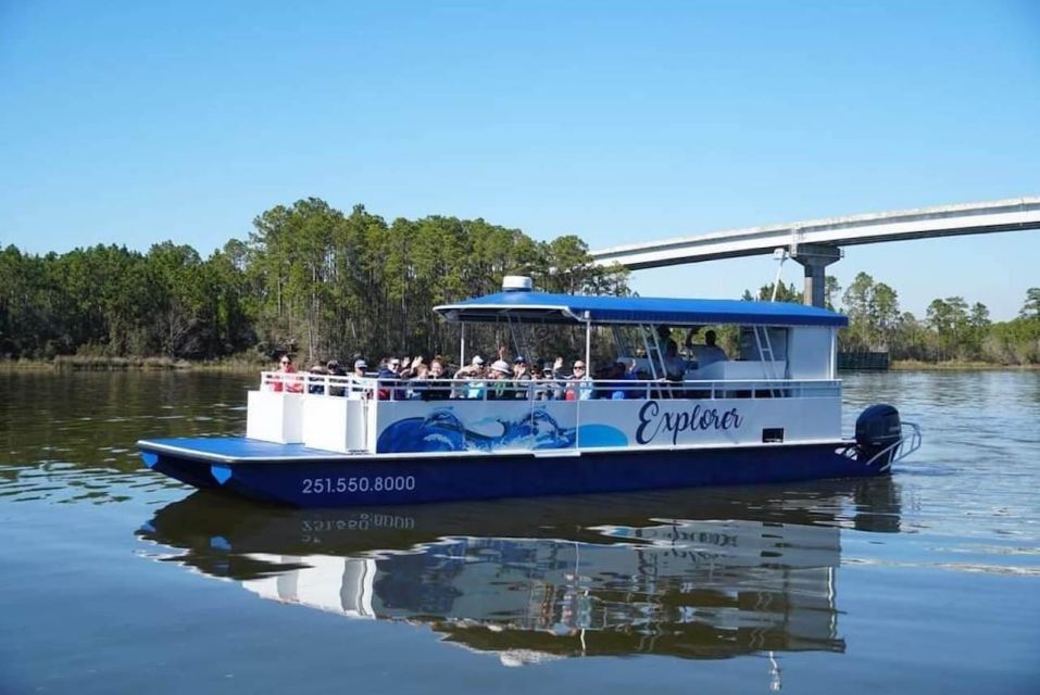 2-Hour Dolphin and Nature Eco Tour From Orange Beach