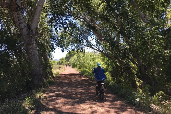 2 Hour E Bike Ride at the Peavine Trail (Popular)