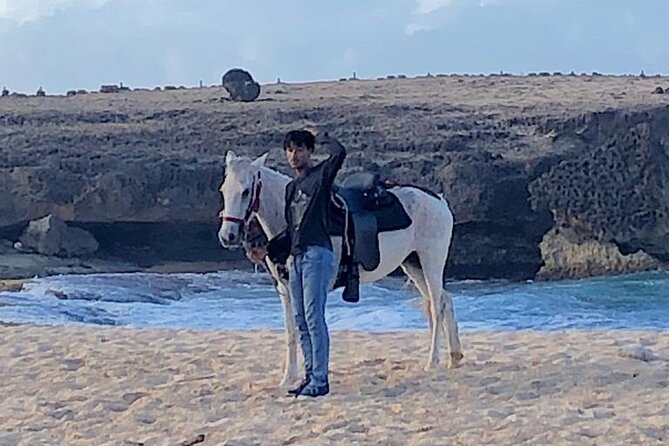 2-Hour Horseback Riding Tour to Little Natural Bridge in Aruba