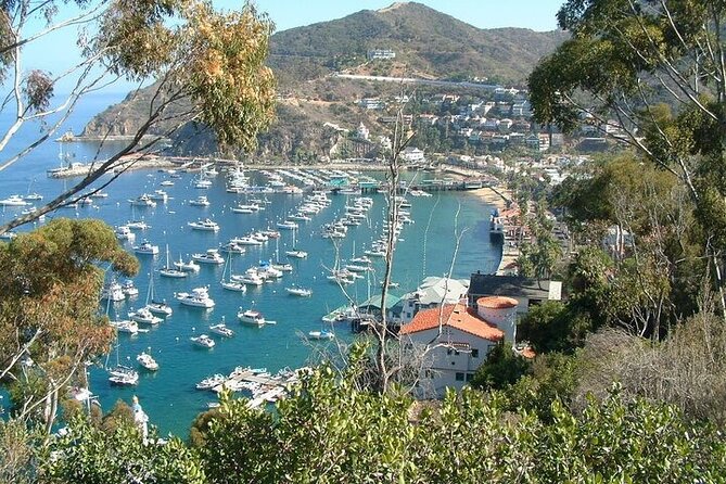 2 Hour Inside Adventure Tour on Catalina Island