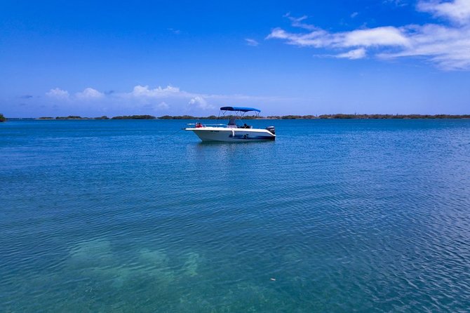 3 Best 2 Hour Tours and Experiences in Curacao