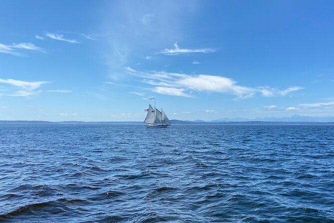 2-Hour Seattle Sailing Harbor Tour