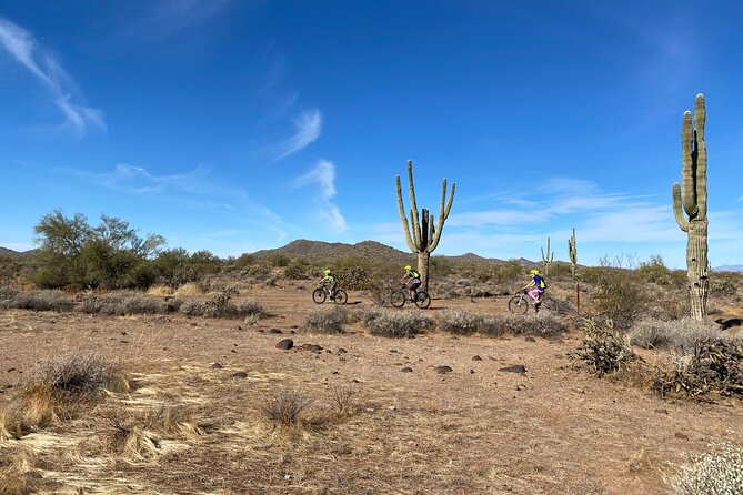 2 Hour Sonoran Desert Private Guided Mountain Bike Tour