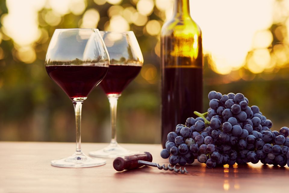 2-Hours Amarone Wine Tour With Sommelier Wine Tastings