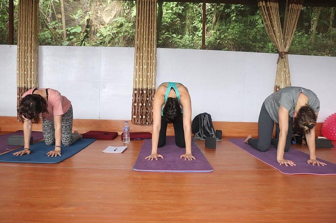 200 Hours Certified Yoga Teacher Training in Kathmandu, Nepal - Course Overview