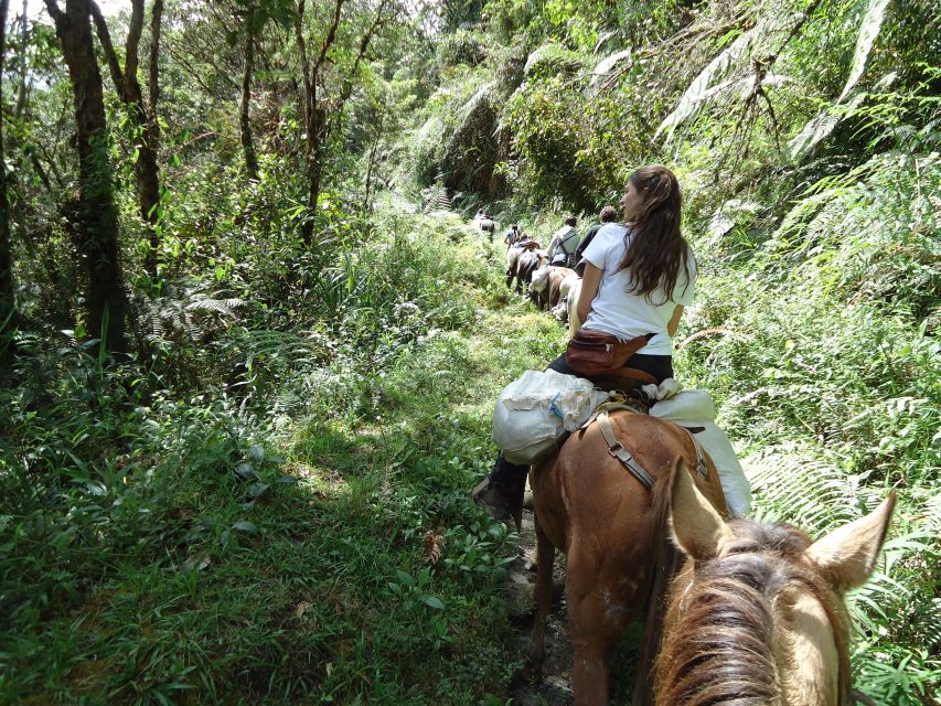 2D/1N Private Culture & Archaeological Tour in San Agustín