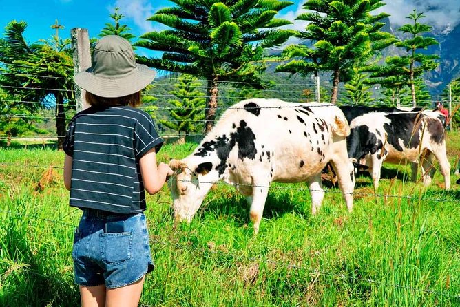 2d1n Kinabalu Park & Poring Canopy Walk & Desa Cow Farm Tour - Tour Overview