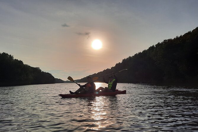 3-4 Hours Mangrove Kayaking Tour