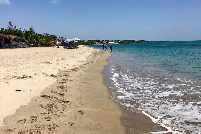 3.5hr Private Power Catamaran Snorkel and Beach Experience