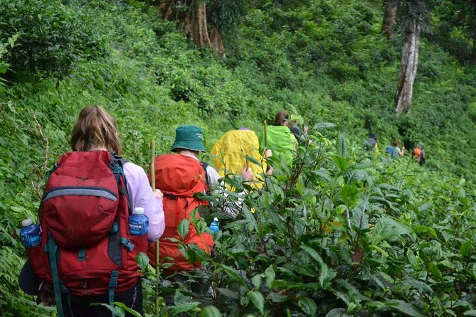 3-Day Chiang Dao Mountain Trek