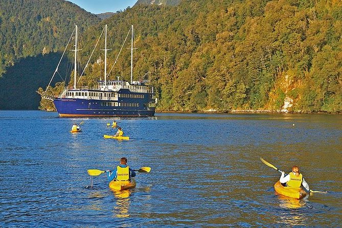 3 Day Doubtful Sound Overnight Cruise and Glowworm Tour From Queenstown