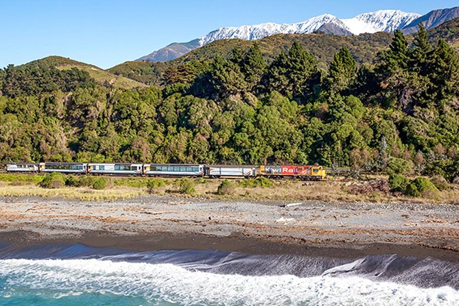 3 Day Kaikoura Sealife and Coach Tour From Christchurch - Meeting and Pickup Details