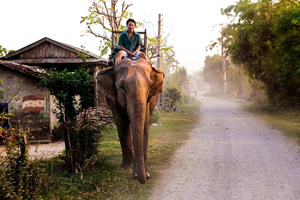 3 Day Nepal Chitwan Jungle Safari Tour From Kathmandu