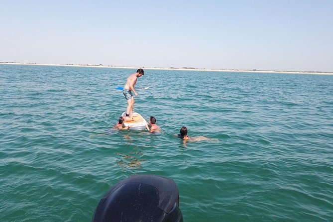 3-Hour Boat Ride Through the Bay of Cadiz