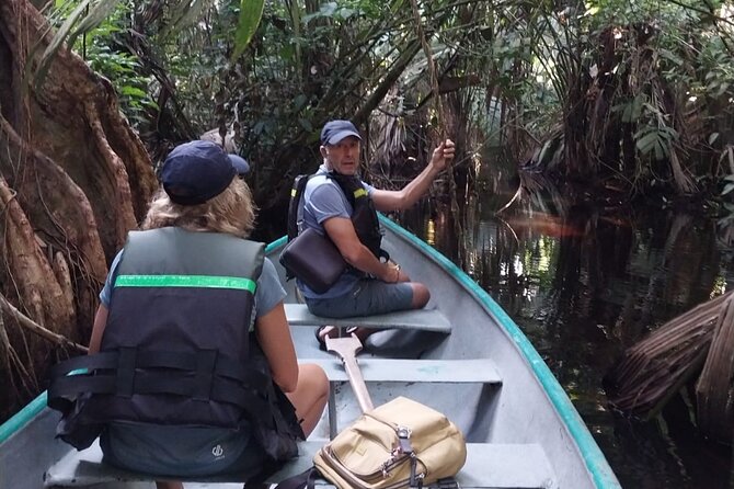 3-Hour Canoe Tour Through Tortuguero National Park