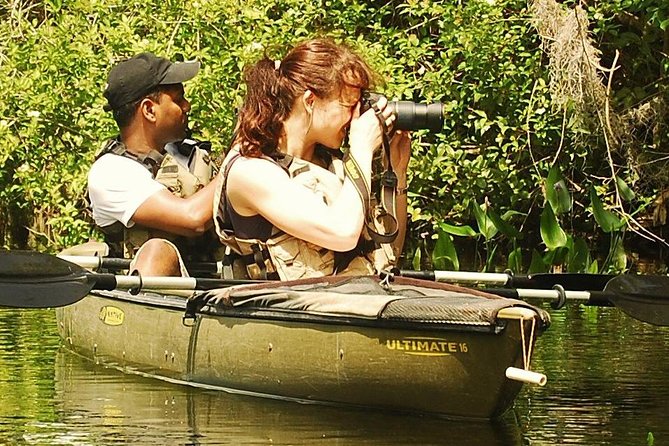 3 Hour Guided Mangrove Tunnel Kayak Eco Tour