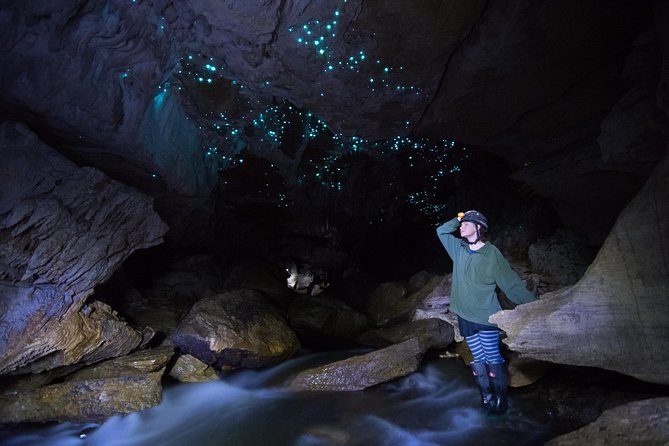 3-Hour Private Photography Tour in Waitomo Caves - Tour Overview