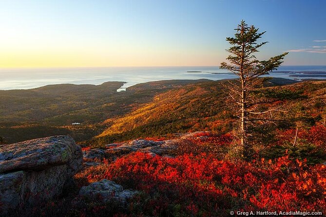 3 Hour Private Tour: Explore All the Top Spots of Acadia!