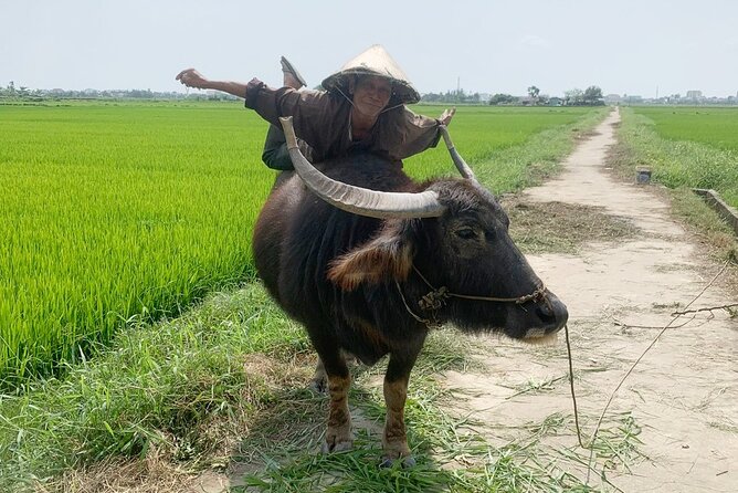 3 Hours Hoi An Countryside Bicycle Tour