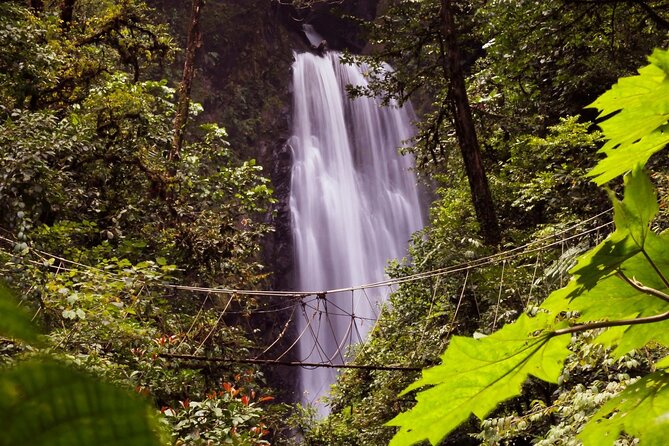 3-in-1 Monteverde Cloud Forest Waterfalls, Wild Trekking and Horseback Riding