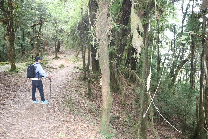 3 Night 4 Days Mardi Himal