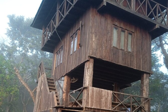 3 Nights 4 Days Chitwan National Park With Tower Night Stay
