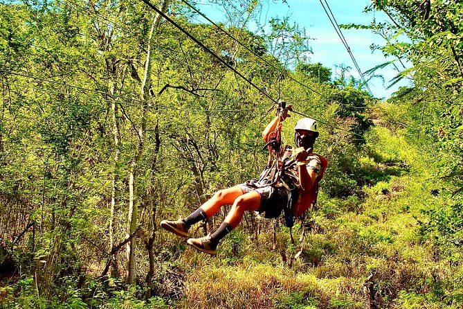 3 Zipline Tour Oahu (1 Hour)