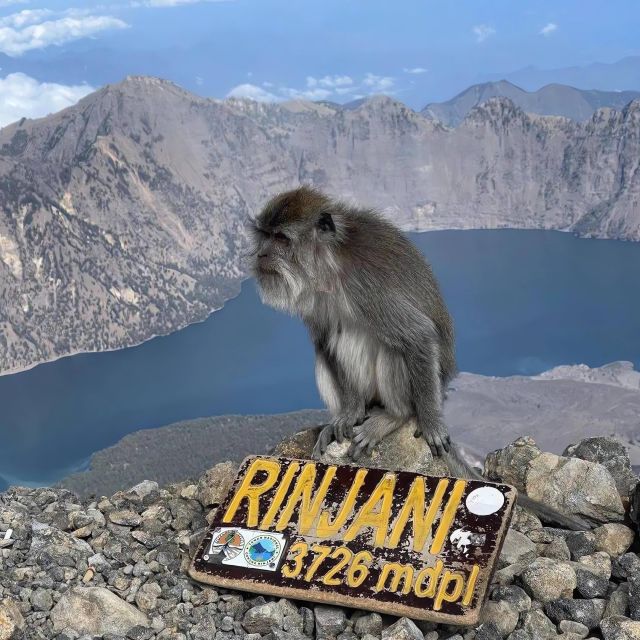 3d/2n Trekking Mount Rinjani Join in Group Tour