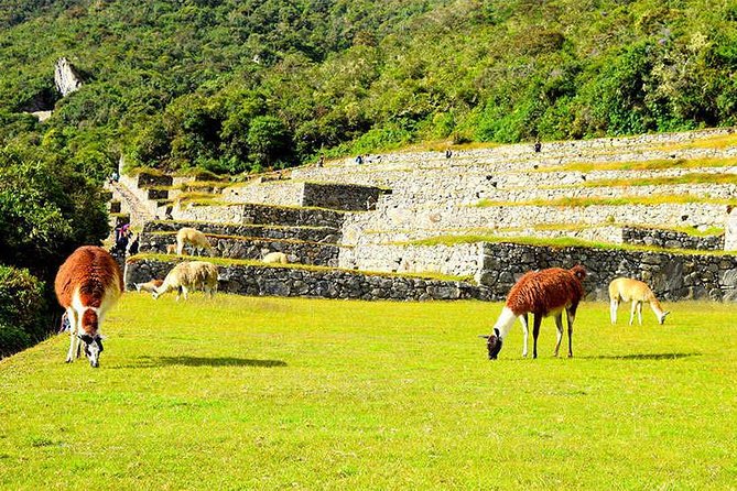 4-Day Classic Inca Trail to Machu Picchu