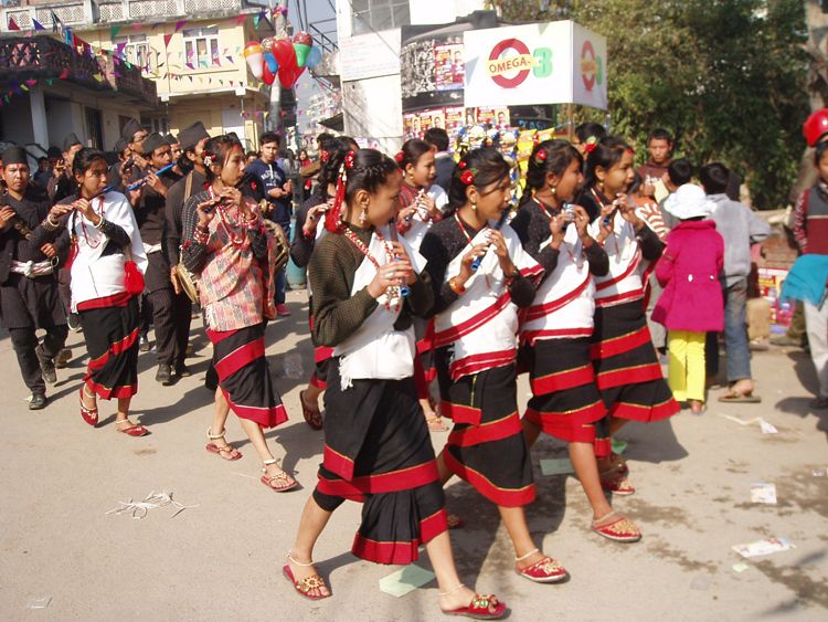 4 Day Glimpse of Nepal Tour - Tour Overview and Pricing