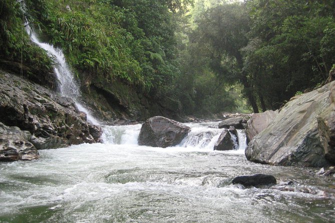4-Day Lost City Small-Group Tour in Santa Marta