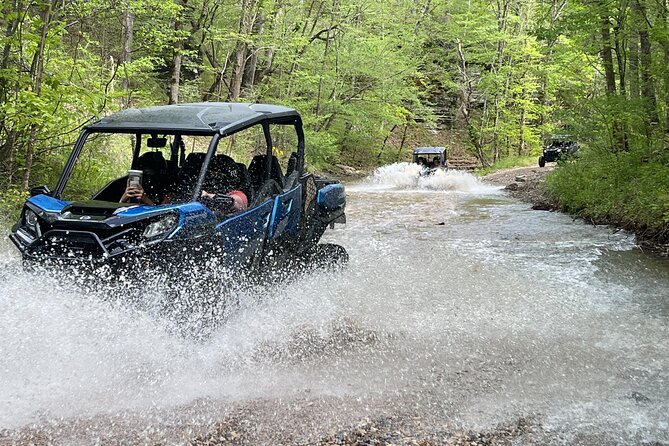 4 Hour Back Country Can-Am Experience