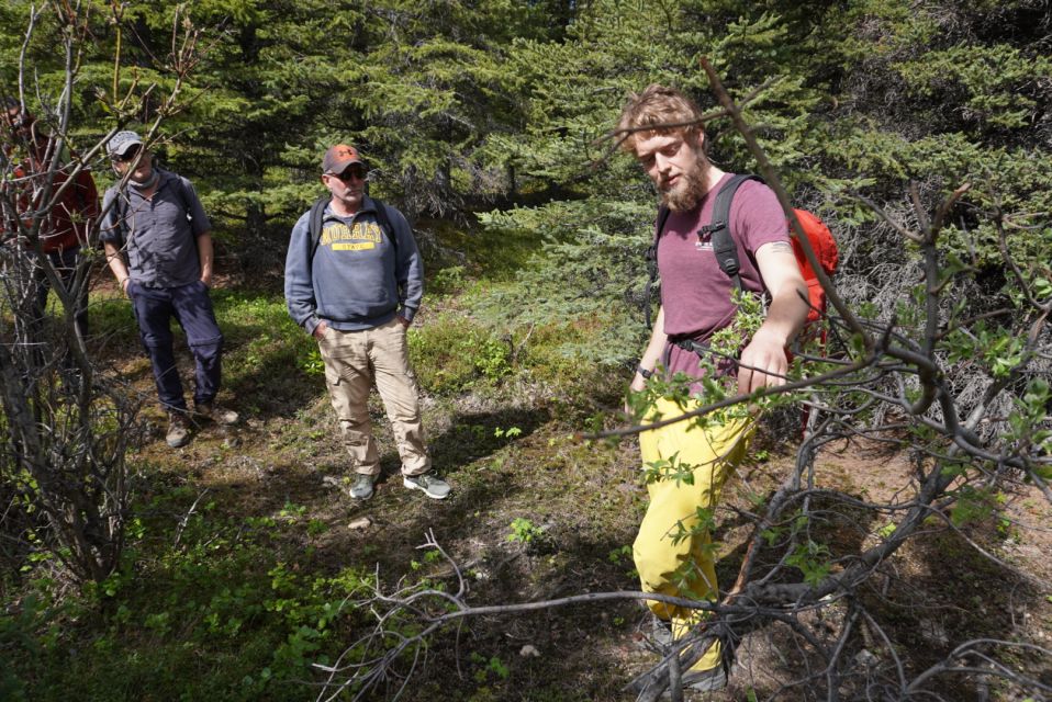 4 Hour Off-Trail Wilderness Wonders Tour in Denali - Exploring Alaskan Wilderness