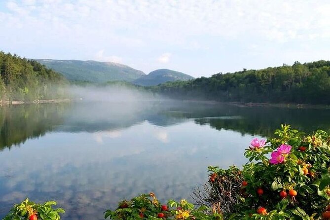 4 Hour Private Tour: Explore Acadia Natl Park, Fjord & Mansions