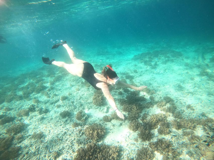 4 Hours Snorkeling 3 Gilis ( Trawangan,Meno, Gili Air)