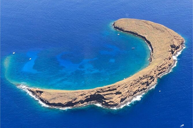 4-HR Molokini Crater + Turtle Town Snorkeling Experience