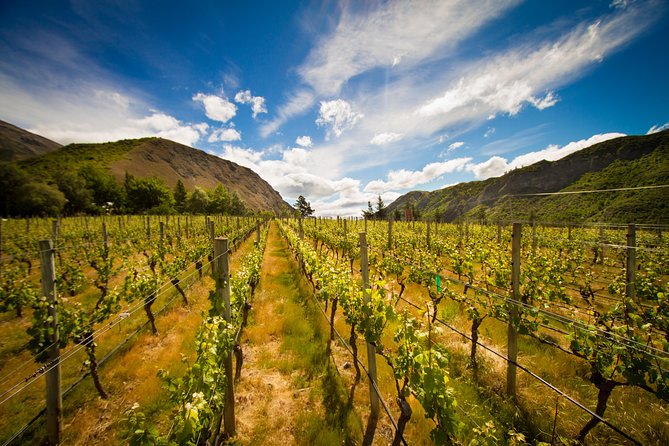 5-Hour Wine and Food Sampler Tour From Queenstown