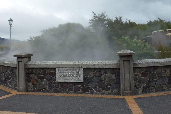 6 Hour Small-Group Rotorua Naturally Shore Excursion From Tauranga