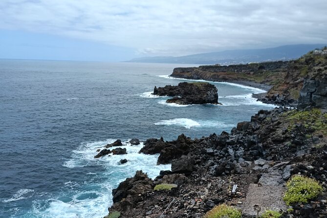 6hrs Private Tour in North Coast of Tenerife