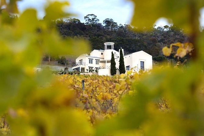 7- 8 Hour StelaVino Guided Wine Tours From Hobart, Tasmania