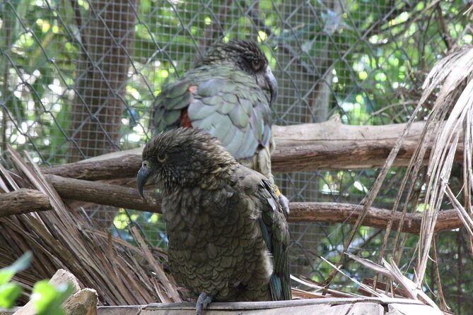 7-Hour Private Scenic Kapiti Coast Tour From Wellington