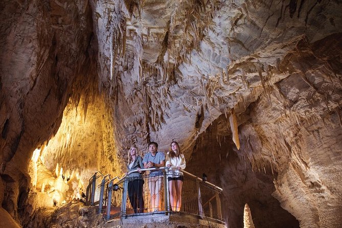 75-Minute Guided Ruakuri Cave Tour Waitomo