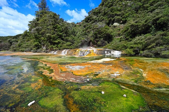 7hr Waimangu Geothermal Valley & Lake Rotomahana Tour – Departs Tauranga