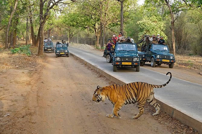 8 Day Golden Triangle Tour With Ranthambore{Taj,Tigers & More}