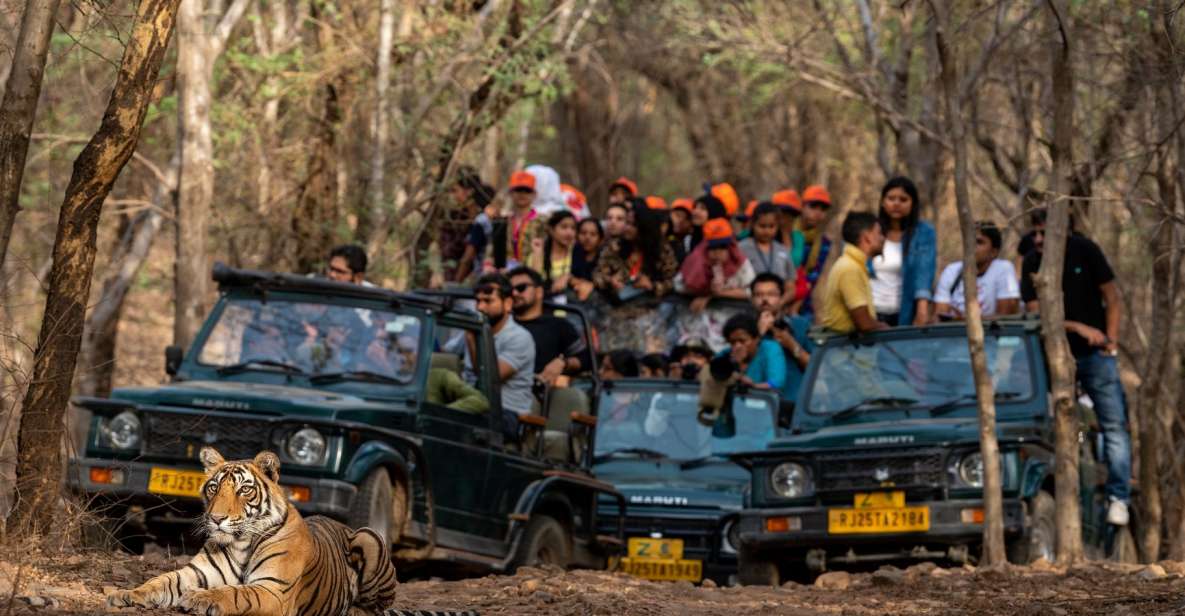 8 – Days Golden Triangle Tour With Ranthambore Tiger Safari