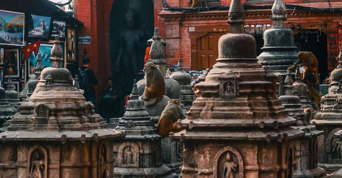 A 1 Day Tour Kathmandu - Tour Overview and Pricing