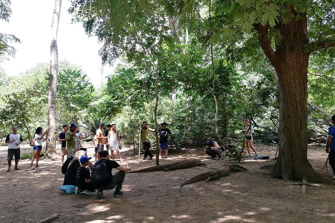 A Day to Komodo Island