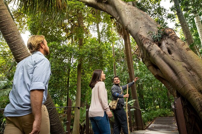 Aboriginal Heritage Walk – Royal Botanic Gardens Victoria, Melbourne Gardens