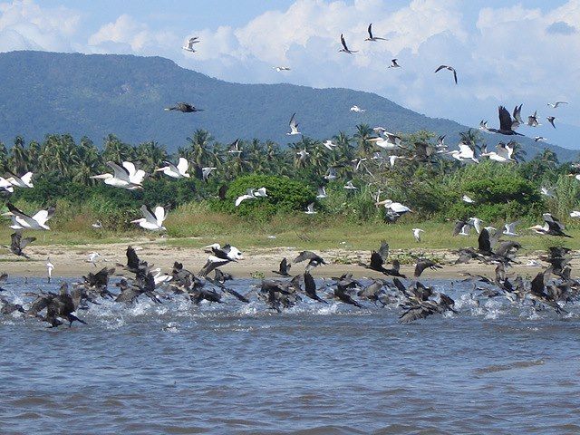 .Acapulco: 6-Hour Coyuca Lagoon Tour